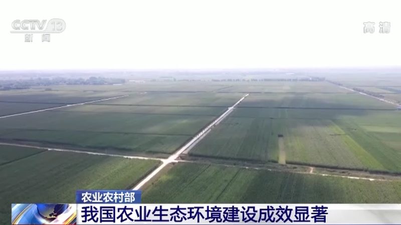 仓储设施包括货架、托盘、叉车等。在施工过程中，需注意以下几点：