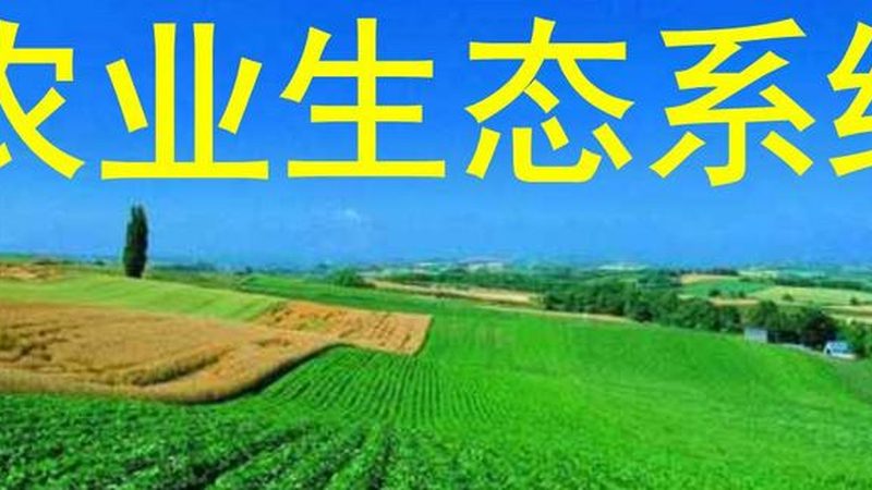 绿色食品认证续展现场检查步骤详解
