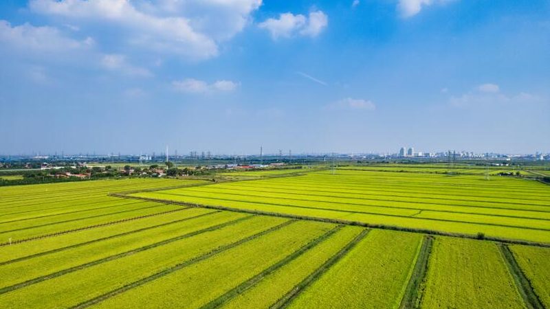 山东农资物流运输：农业供应链的“高效脉搏
