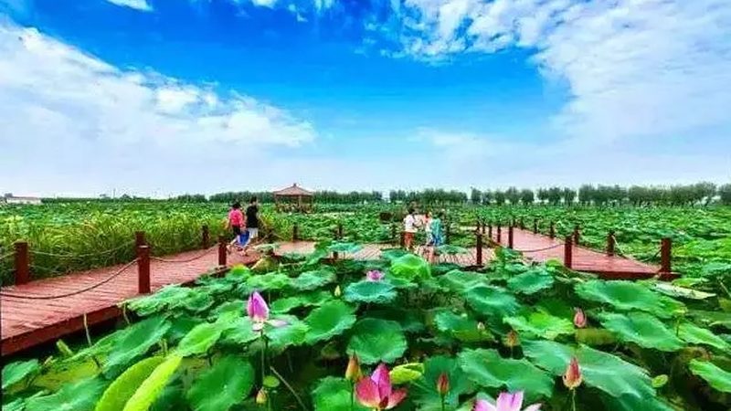 成都果蔬配送价格解析：揭秘一吨成本构成