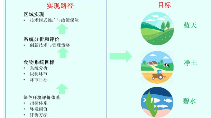 农村合作社联合社：从零开始，共建农业新生态**