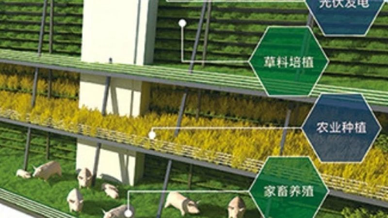 智慧农业种植系统：如何选择适合自己的方案