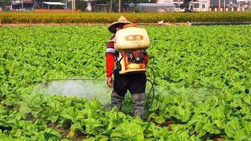 智慧农业种植系统：如何选择最适合的解决方案