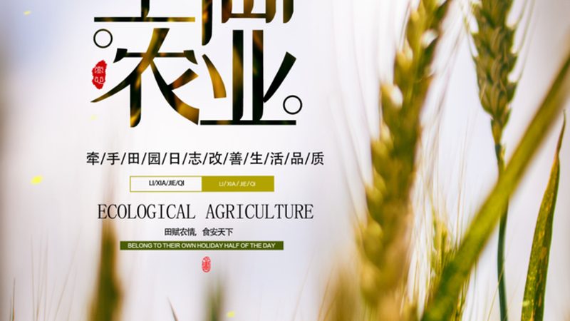 蔬菜种植公司排名：揭秘背后的考量因素